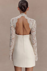 Strapless Lace Panel Sheer Backless Bodycon Lace Dress