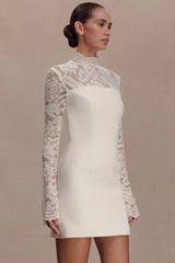 Strapless Lace Panel Sheer Backless Bodycon Lace Dress