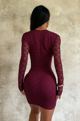 Deep V Long Sleeve Lace Dress