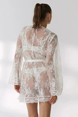 Lace Sheer Long Sleeve Lace-Up Slim Mini Lace Dress