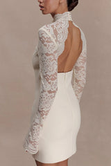 Strapless Lace Panel Sheer Backless Bodycon Lace Dress